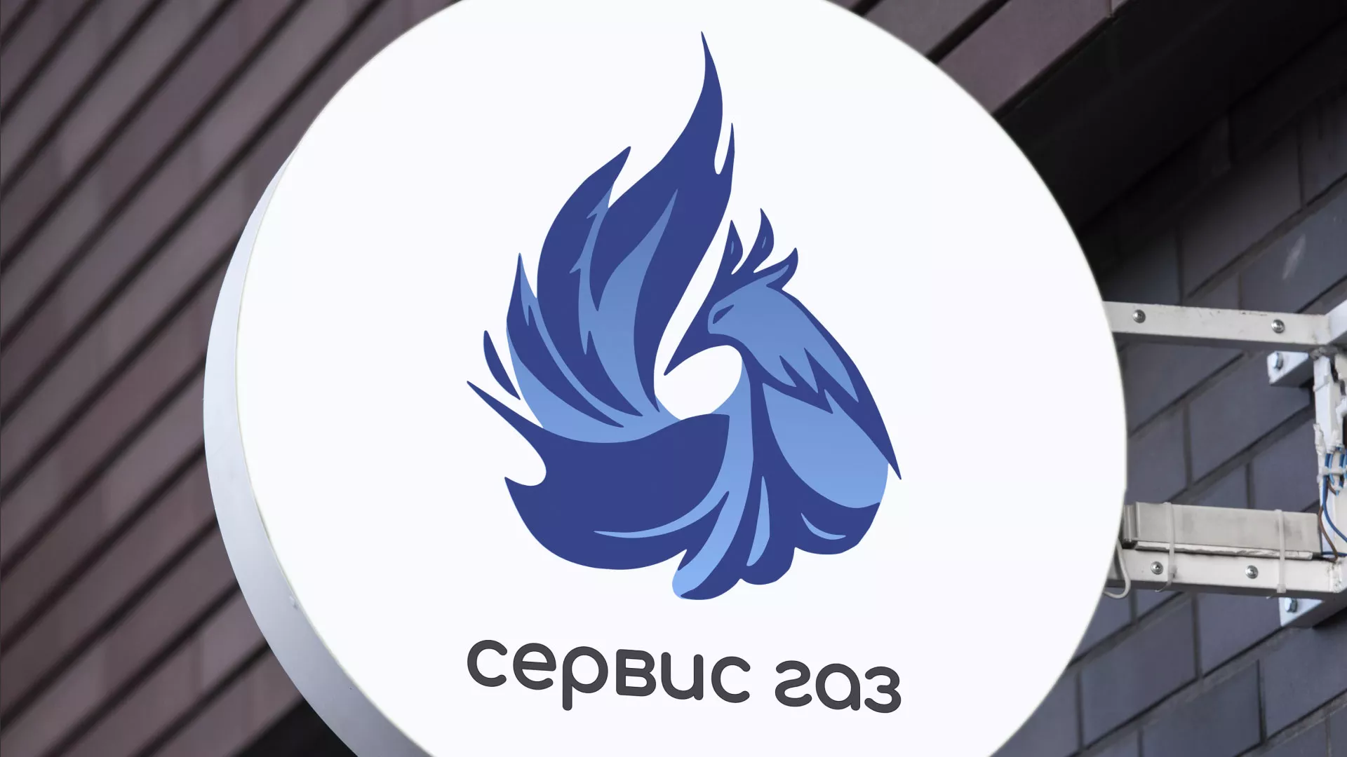 Создание логотипа «Сервис газ» в Петергофе